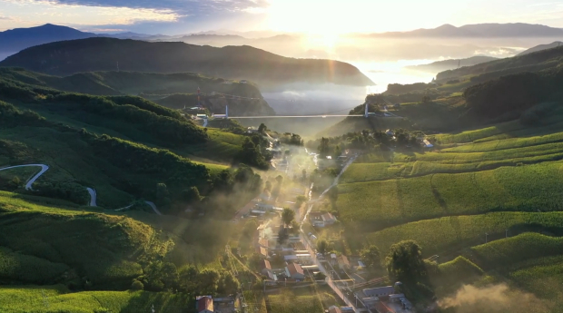 image005.jpg image005.jpg