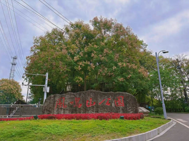 微信图片_20241021084210 (2).jpg 微信图片_20241021084210 (2).jpg