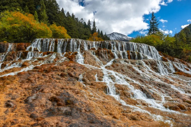 image011 (2).jpg image011 (2).jpg